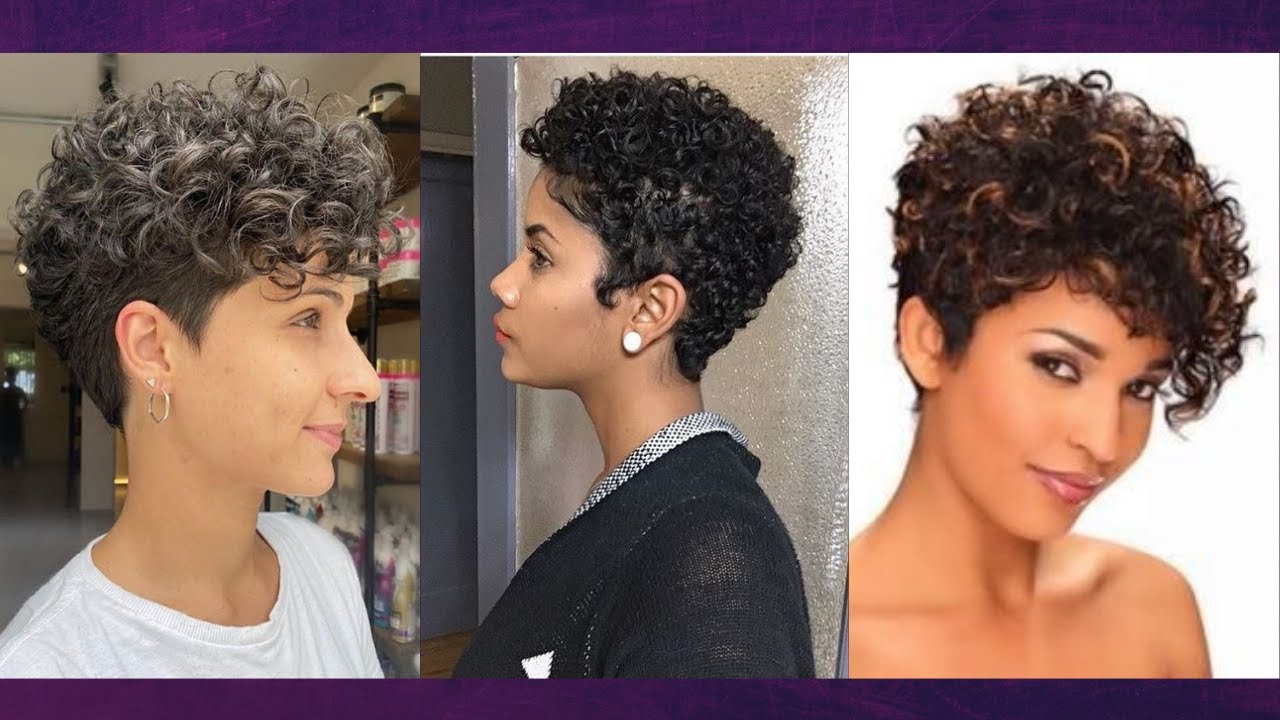 Tendência de cortes de cabelo curto crespo cacheados feminino 2022 para mulheres modernas