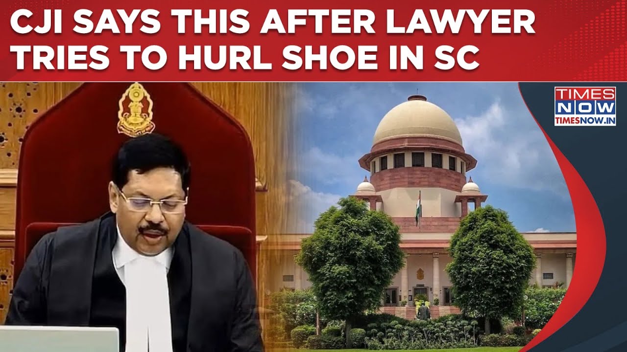Shocking Supreme Court Scenes, CJI Says This After Lawyer Tries To Hurl Shoe, Shouts 'Sanatan Ka...'