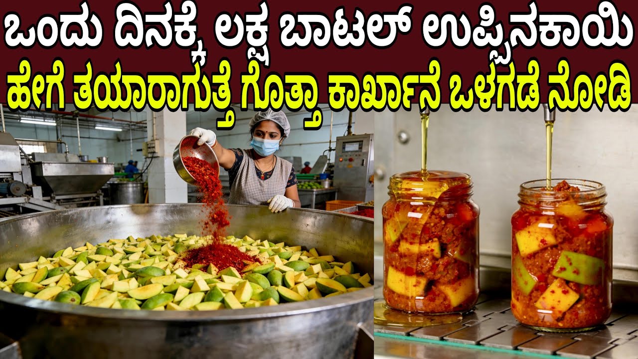 ಉಪ್ಪಿನಕಾಯಿ ಕಾರ್ಖಾನೆ ಒಳಗಡೆ ನನ್ನ ಜೊತೆ ಬನ್ನಿ ಮಾವಿನಕಾಯಿ ಹೇಗೆ ಬೆರೆಸುತ್ತಾರೆ ನೋಡಿ ಬೆಚ್ಚಿ ಬೀಳ್ತೀರ | Pickle