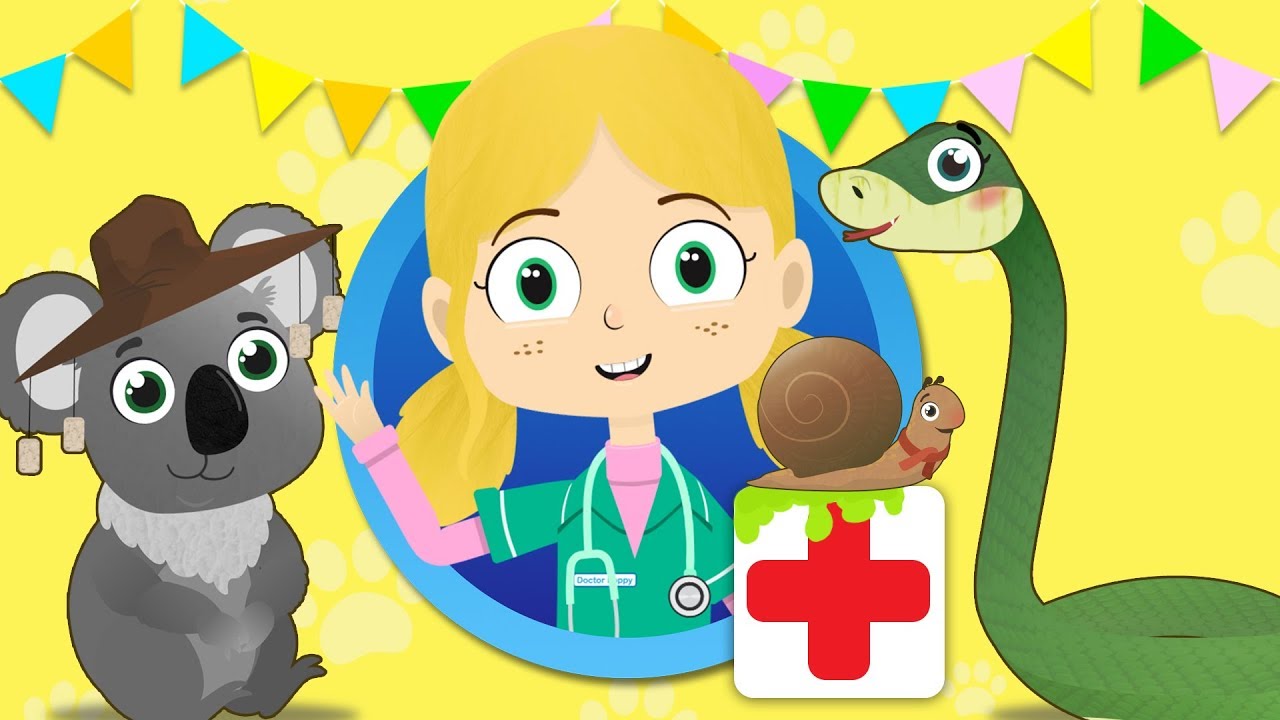 Shane The Koala Visits Dr Poppy's Pet Rescue | Animals For Children