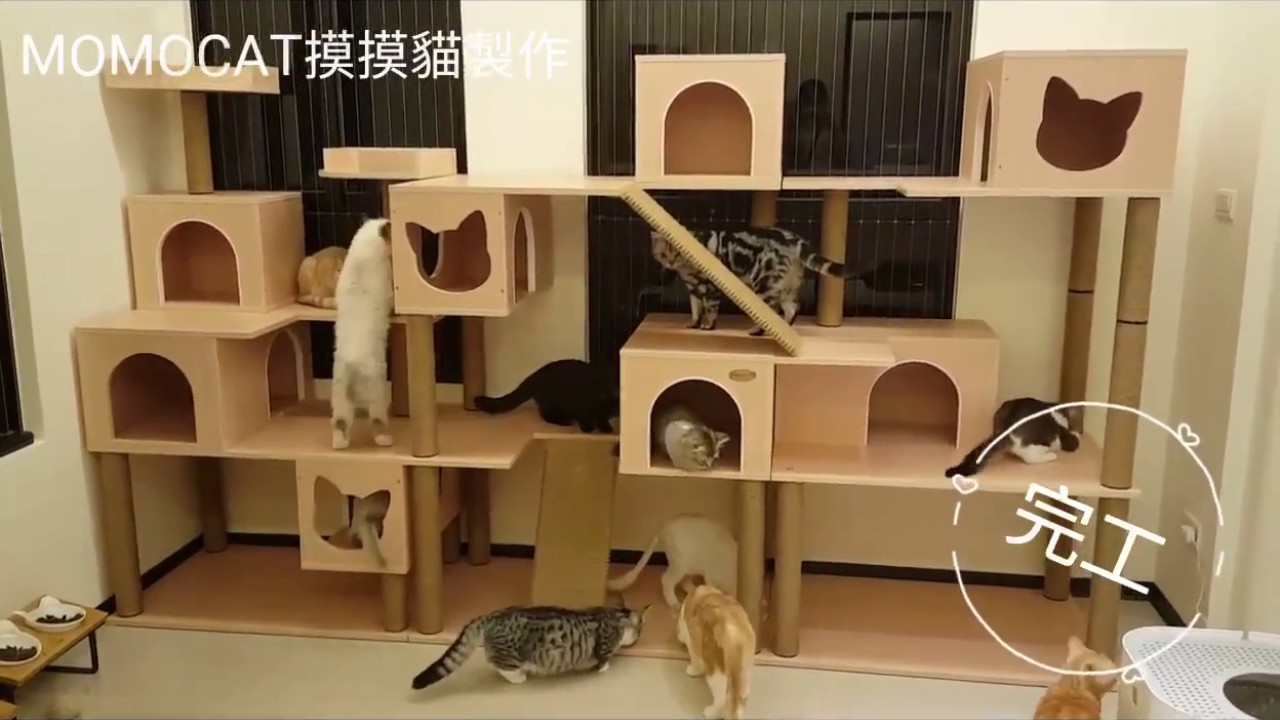【商品】手作貓跳台47隻貓之家｜MOMOCAT摸摸貓