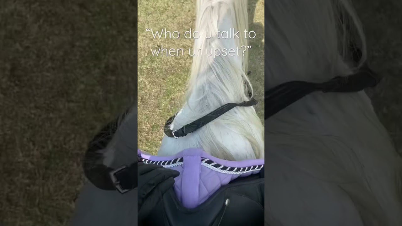 I don&rsquo;t &ldquo;talk&rdquo; I &ldquo;ride&rdquo; #pony #horse #fun #ride #cute #jump #love #viral #amazing #talk #true