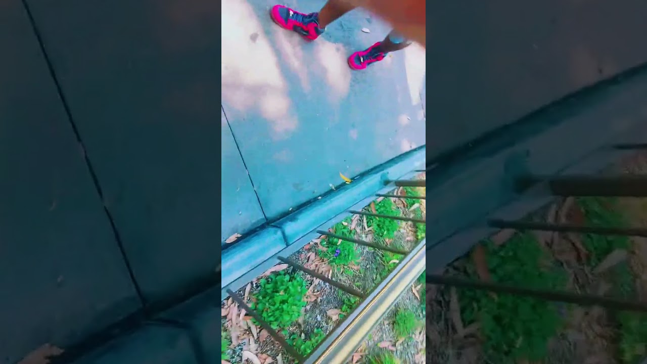 This is a theme park talk about Disneyland resort and this video is for everyone and family 