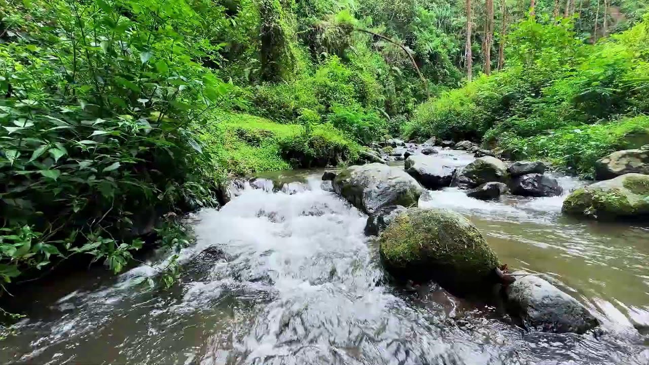 Deep sleep becomes steady with river relaxation lowering stress gently all evening