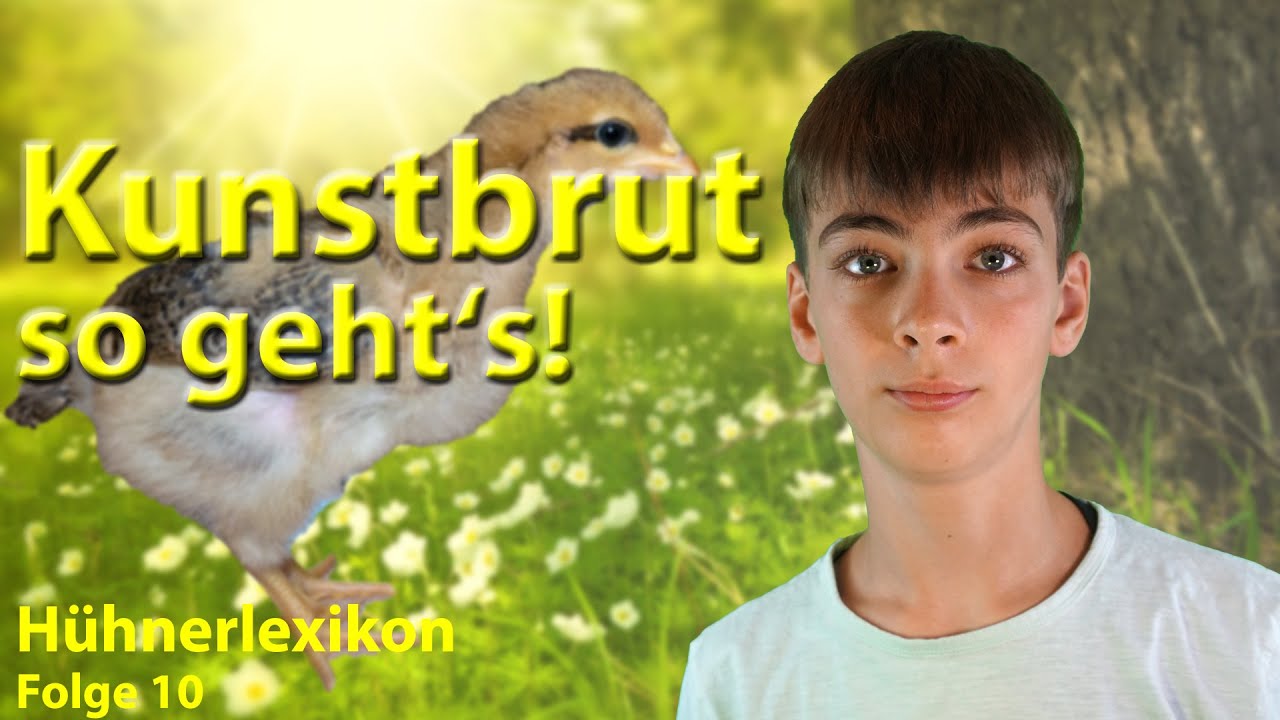 Eigene H&uuml;hnerk&uuml;ken - so funktioniert die Kunstbrut am Besten! | H&uuml;hnerlexikon Folge 10