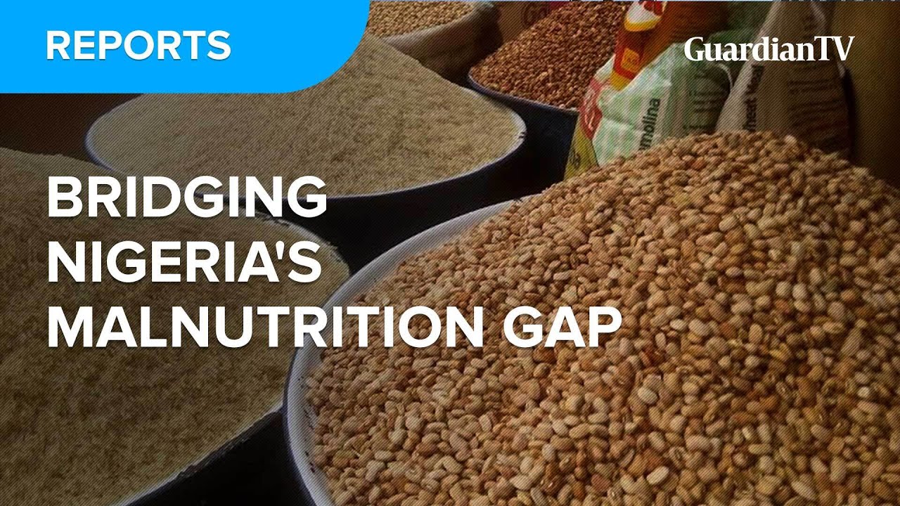 Food industry: Bridging Nigeria's malnutrition gap