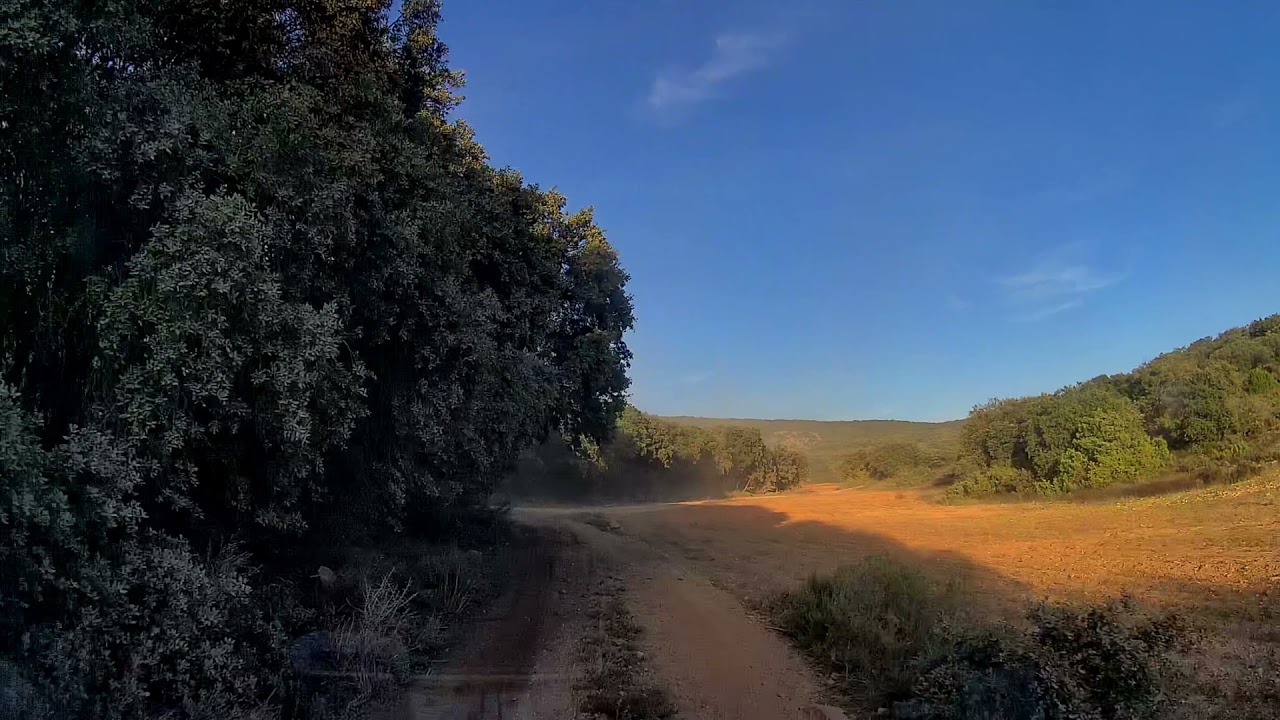 Rally TT Guadalajara - Prólogo