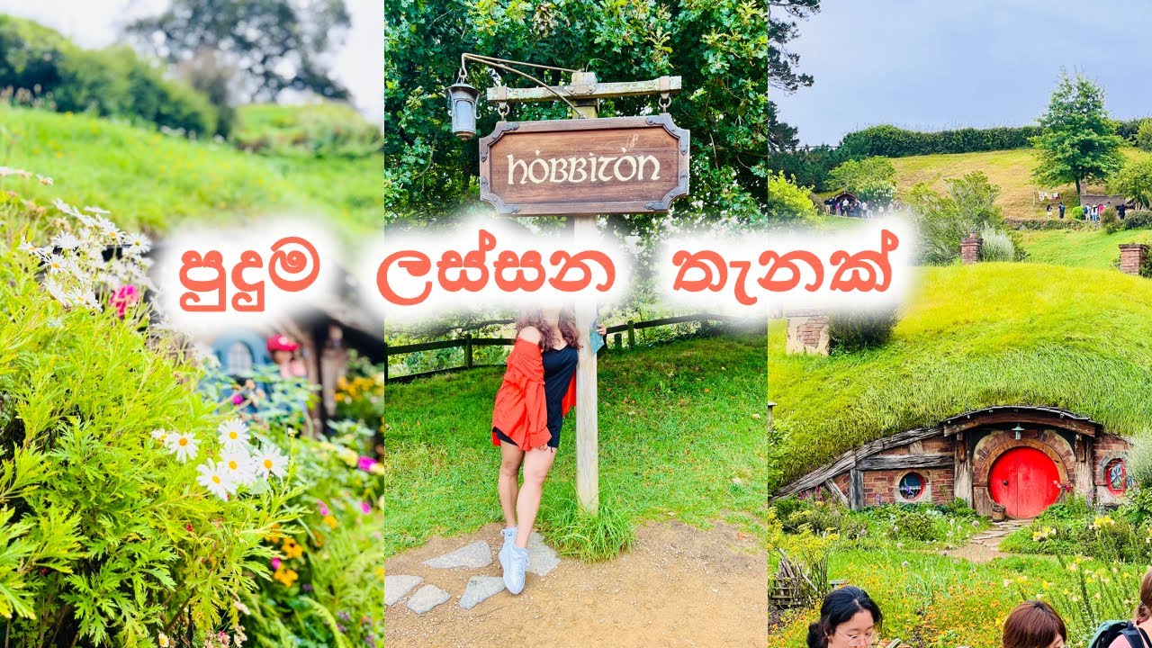 New Zealand වල ගත කල ලස්සනම දවසක් | සුරංගනා ලෝකෙකට ගියා | Sinhala Travel Vlog | Life in Australia