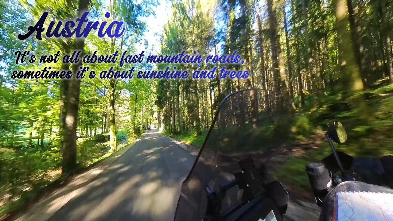 Sunshine and Trees Riding My Harley Pan America Through an Austrian Forest