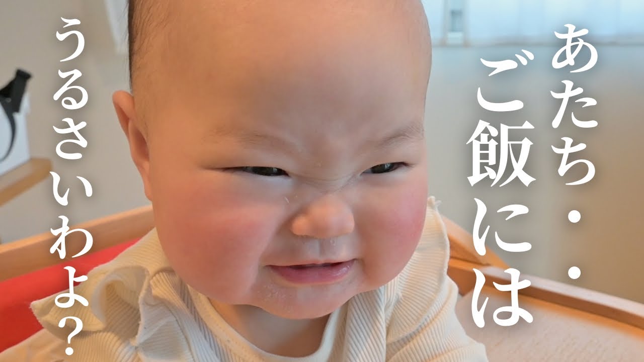 【生後８ヶ月】特に何もない日だけど見てく？