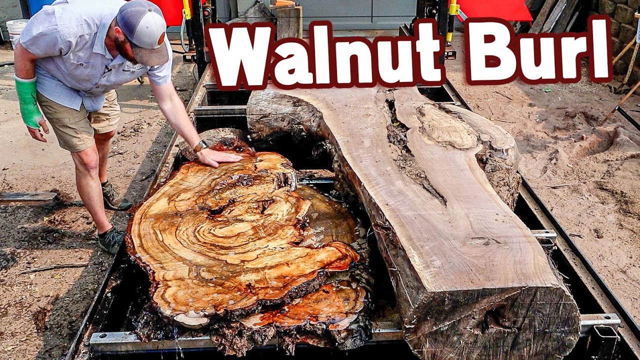 This Log was in their Burn Pile 🤯