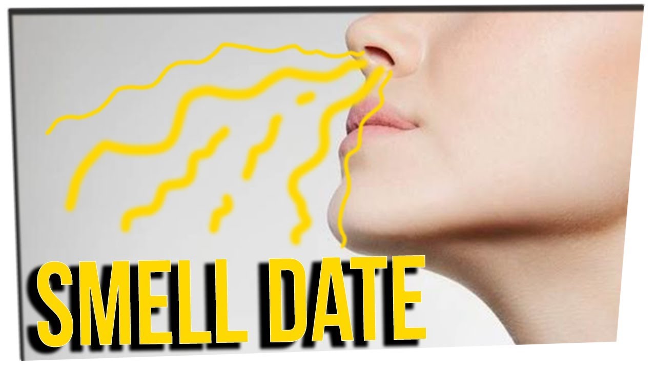 Pheromone Parties Find Your Match Using Smells ft. Steve Greene & DavidSoComedy
