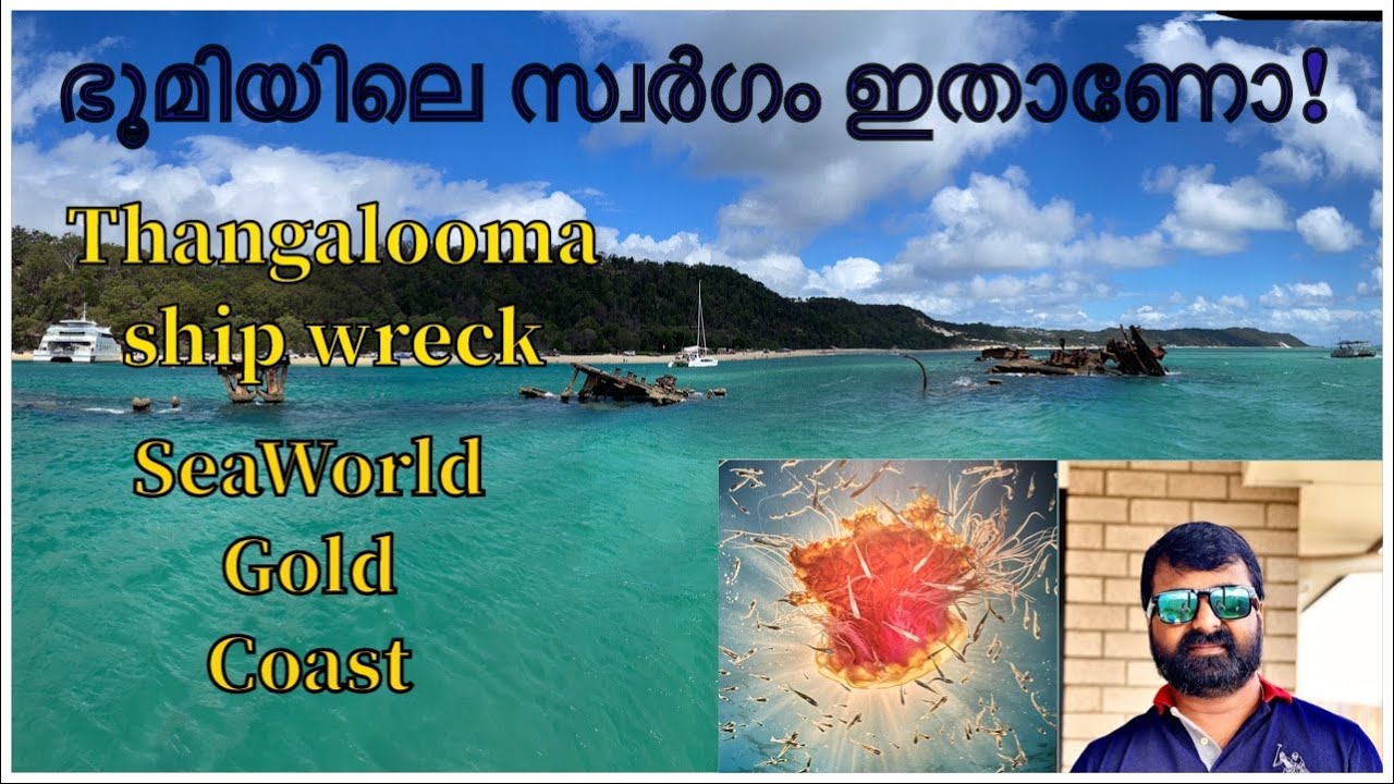 Exploring Australia| Gold coast| Part 2| Sea world | Thangalooma ship wreck | Queensland | travel