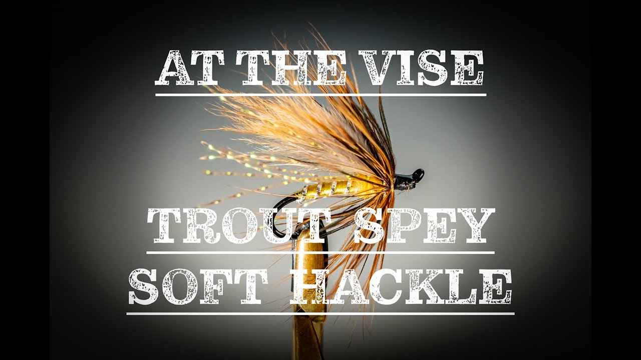 Tying Keith's Trout Spey Soft Hackle | At the Vise w/AFS