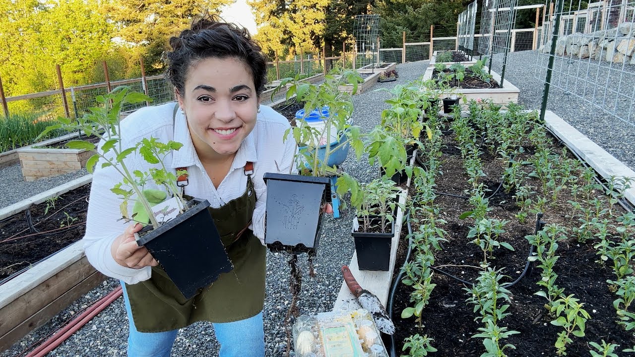 This just might be the key to an abundant harvest!