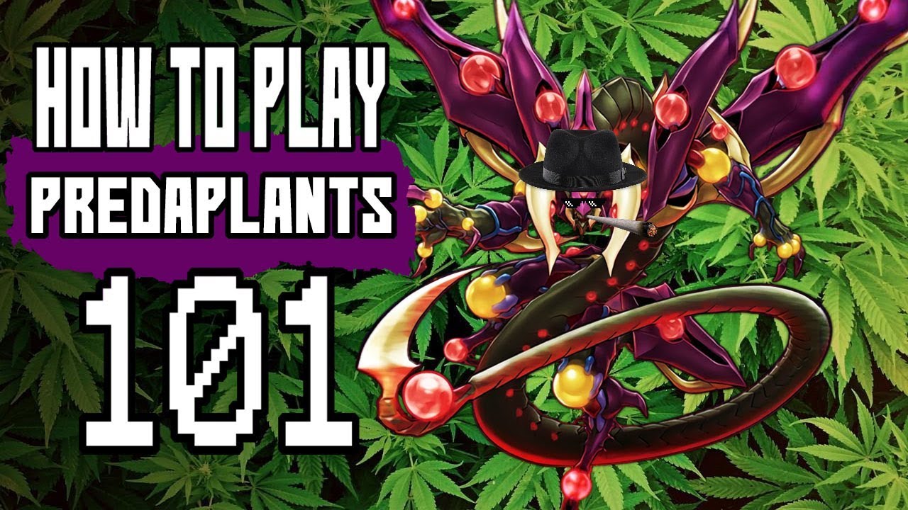 How To Play Predaplants 101