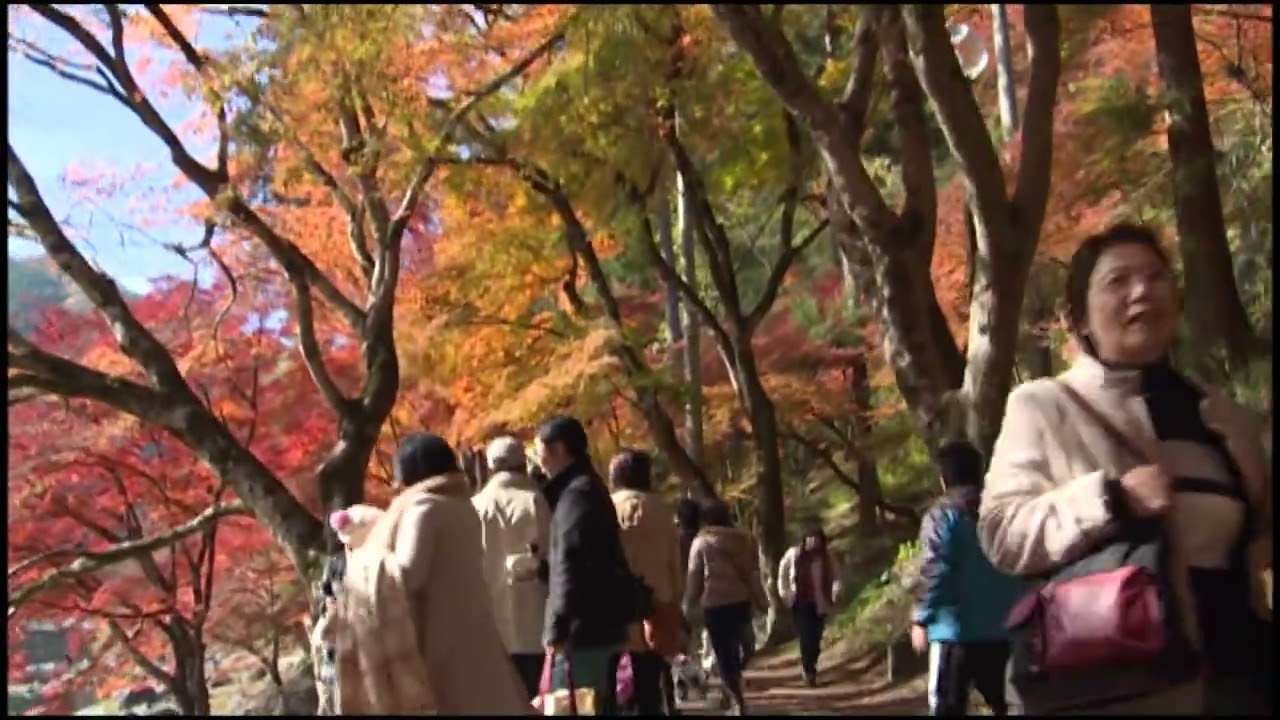 香嵐渓紅葉狩り