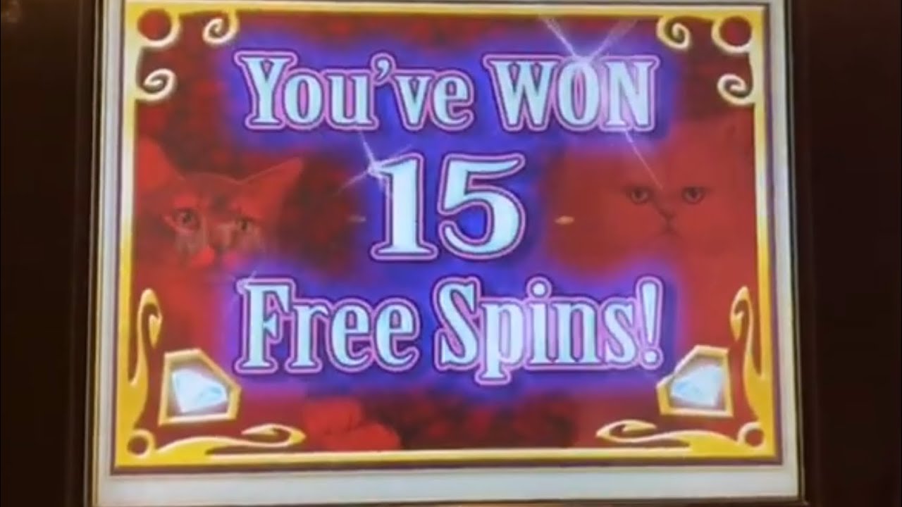 BIG WIN! KITTY GLITTER $30 BETS!!