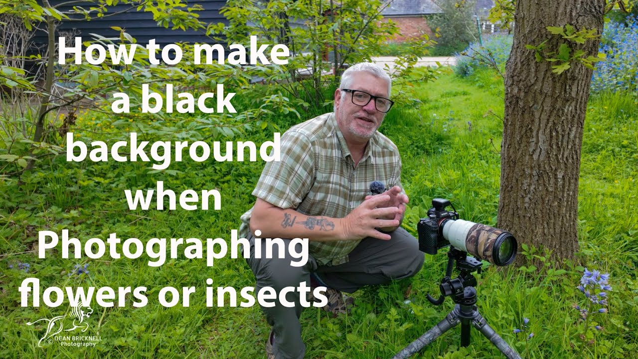 How to make a black background when Photographing flowers or insects