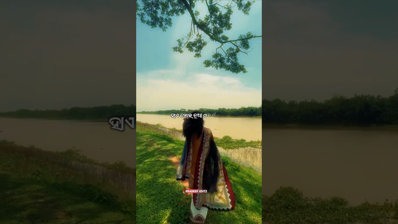 ହାଏରେ ମୋର ନୂଆ ଓଢ଼ଣି 🌸 ll Odia Romantic Song 🌿 ll#shorts#odiasong#viral#trending#shortsfeed#odia
