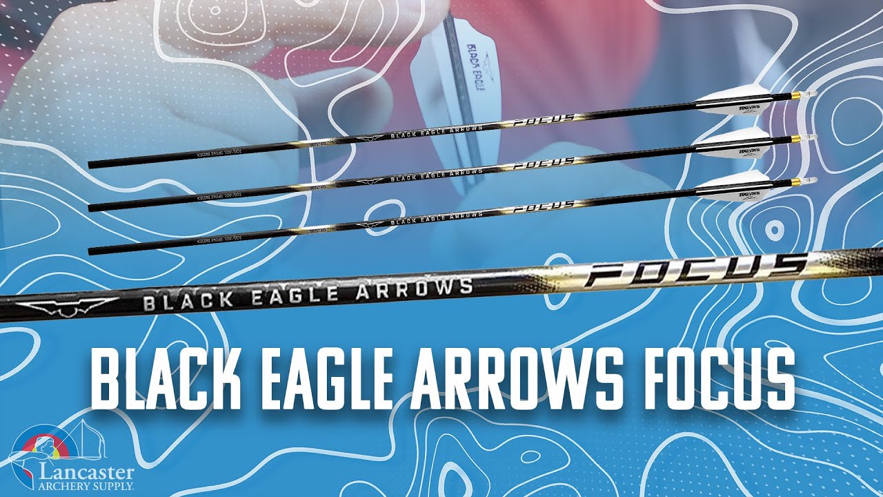 Black Eagle Arrows Focus