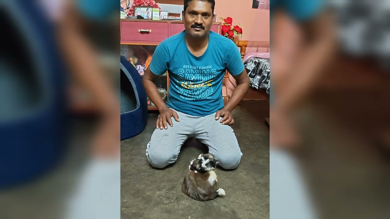  ఎక్సైజ్ చెస్తే ఎలా డిస్టర్బ్ చేస్తుంది🤣🤣🐶 #youtube #channle #video 
