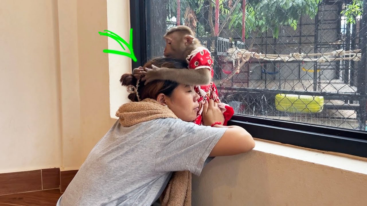 [Emtional Heart Attached] Judee & Mom Warmly Huq Each Other Under Rain