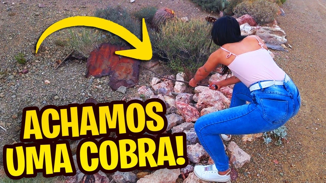 Achamos uma COBRA no meio do DESERTO!!!
