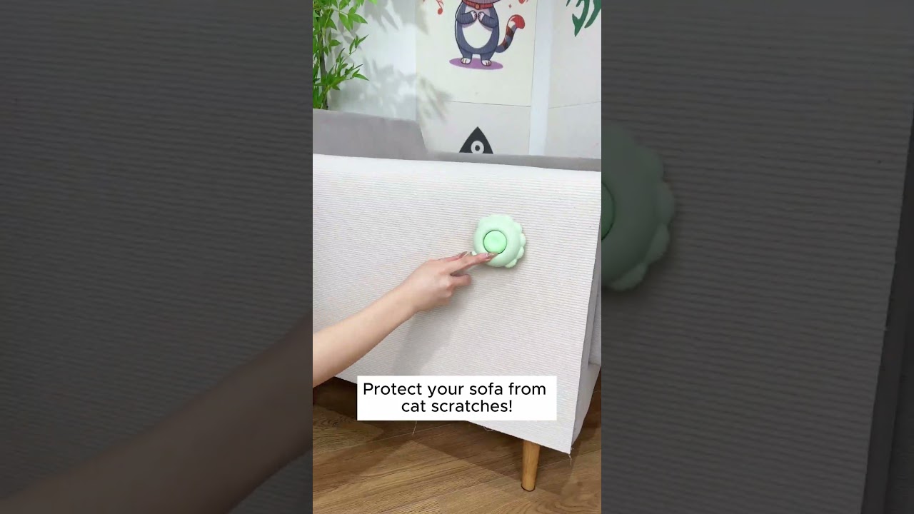 The Easiest Way to Stop Cats from Scratching Your Sofa! #sofa #couch #furniture #homehacks #cats