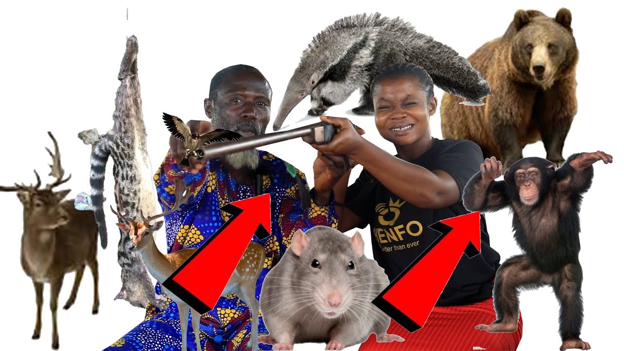 Eei WONDERS, A woman mysteriously transforms her firstborn son into a SHEEP