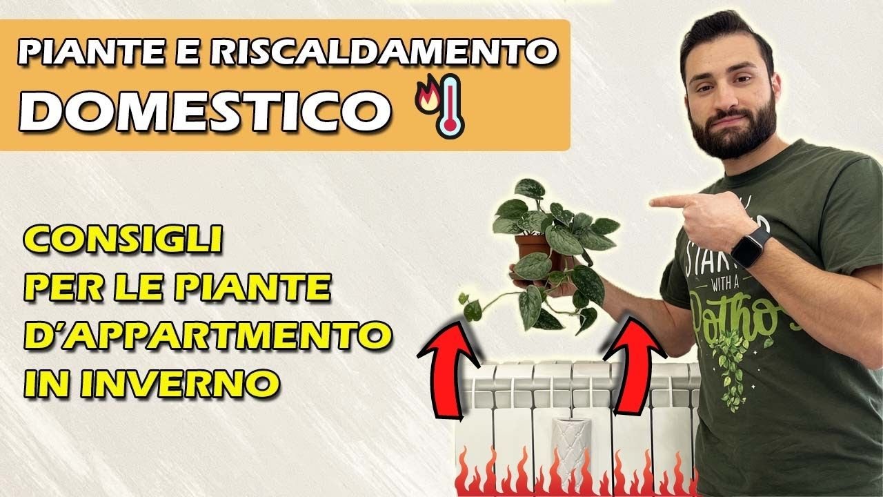 PIANTE IN INTERNO e RISCALDAMENTO DOMESTICO