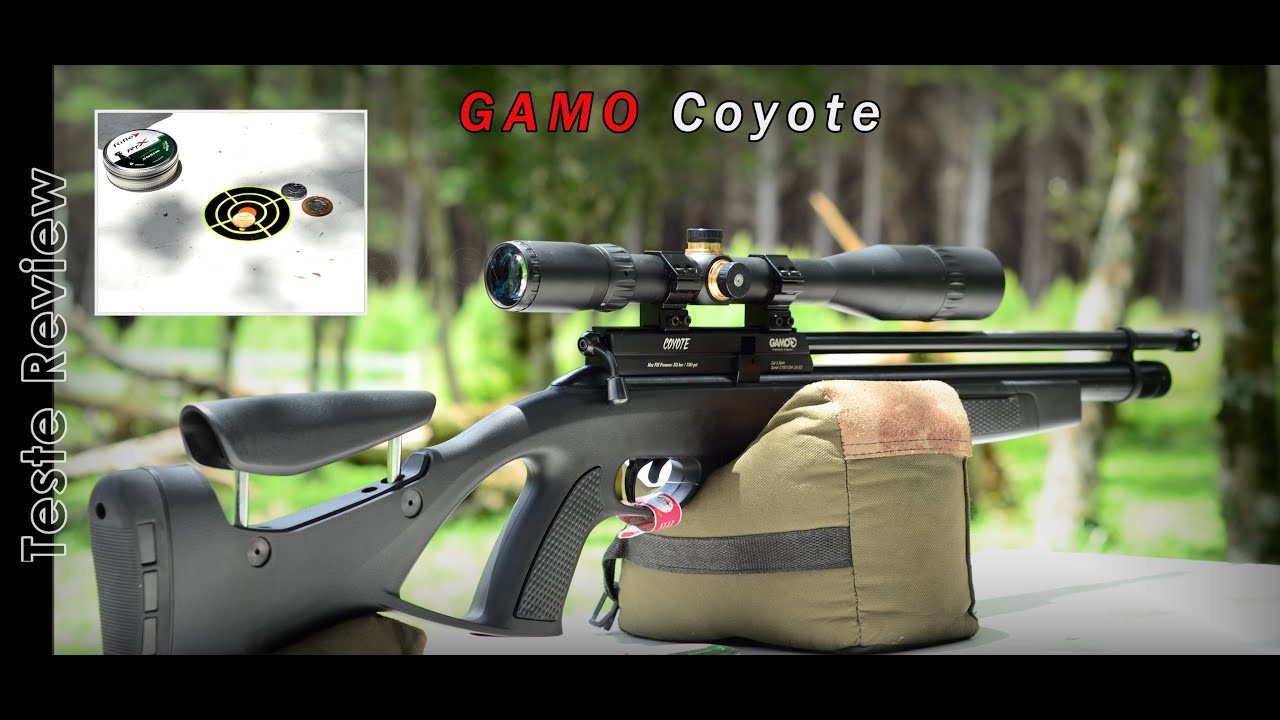 Teste Review | Gamo Coyote 5.5mm - Incrível precisão.