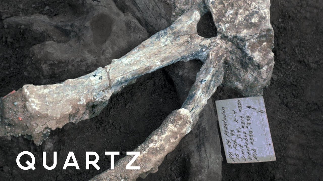Mastodon bones point to ancient humans in San Diego
