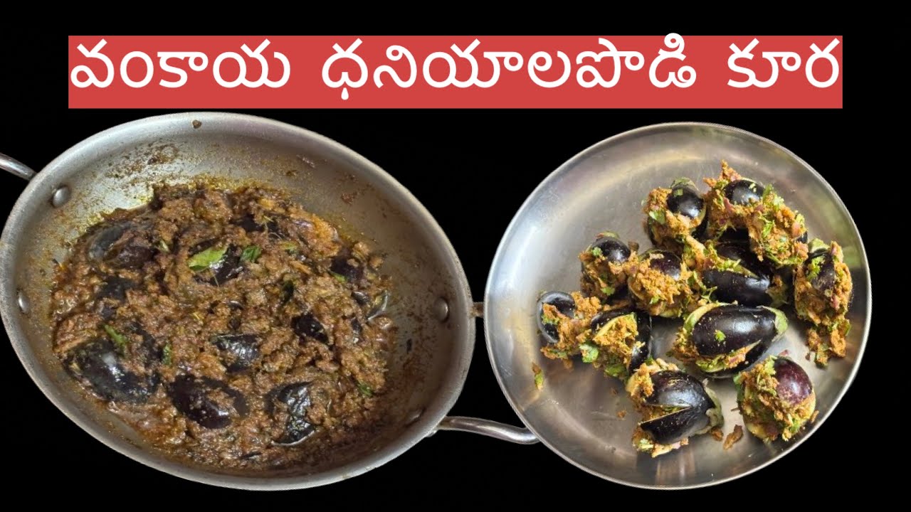 వేళ్ళు కూడా నాకించే “ వంకాయ ధనియాల పొడికూర” - అన్నంలోకి, చవాతీల్లోకి