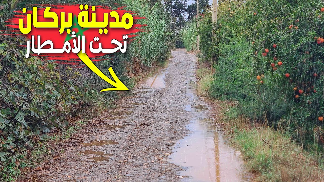 أمطار الخير بدوار السليمانية إقليم بركان كيف غيرت الأمطار ملامح الأشجار والأزهار SLIMANIA BERKANE