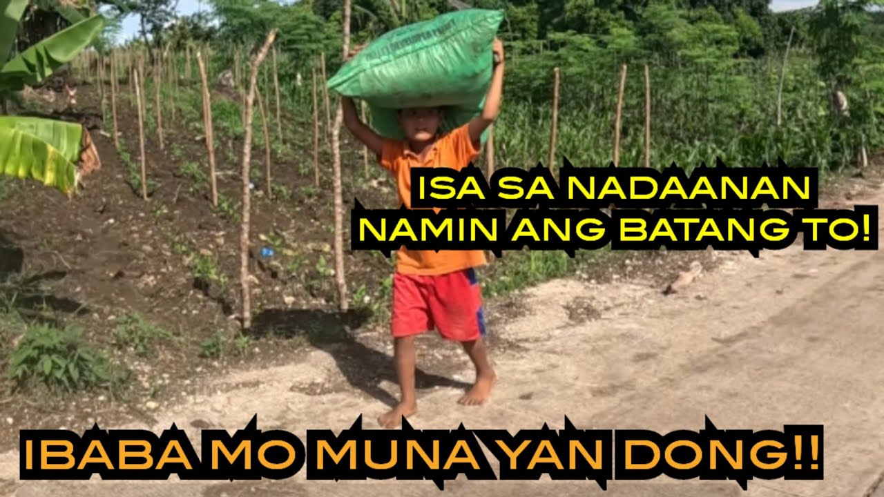 Batang nagpasan ng isang sakong pagkain ng hayop at marami pa nadaanan namin l Rene OC