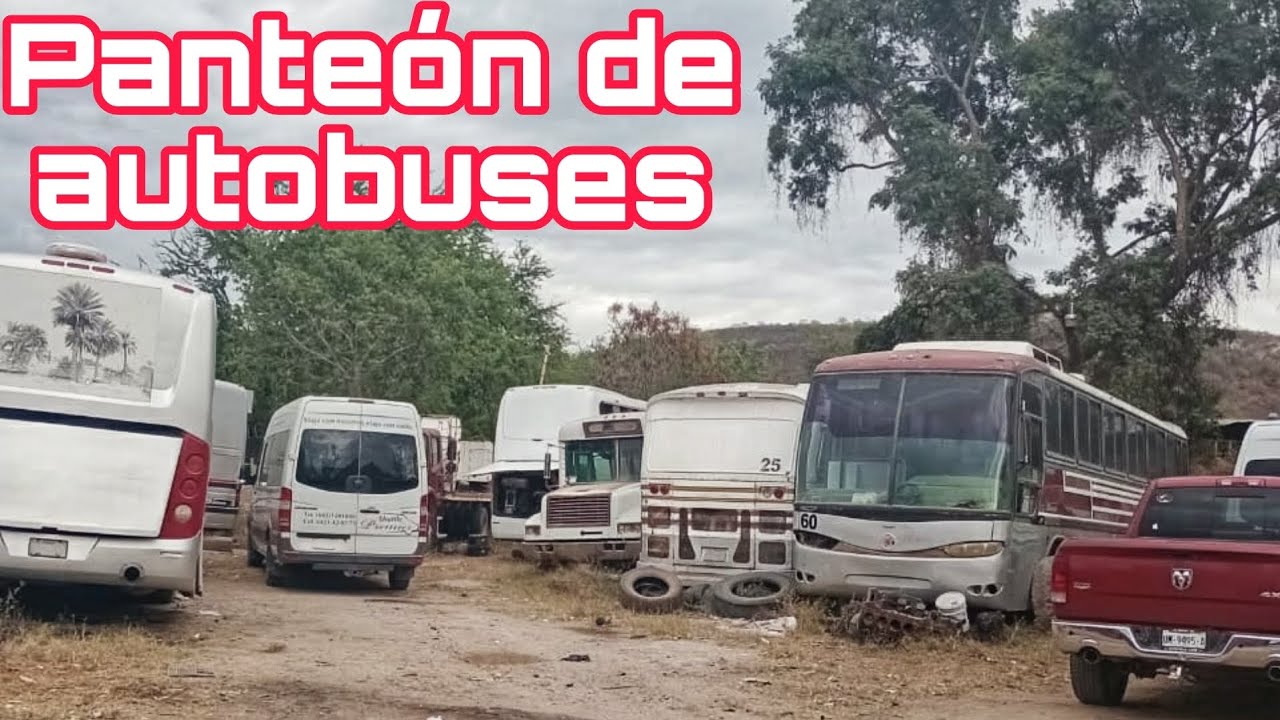 Panteón de autobuses, Dina, Somex y más buses en el olvido