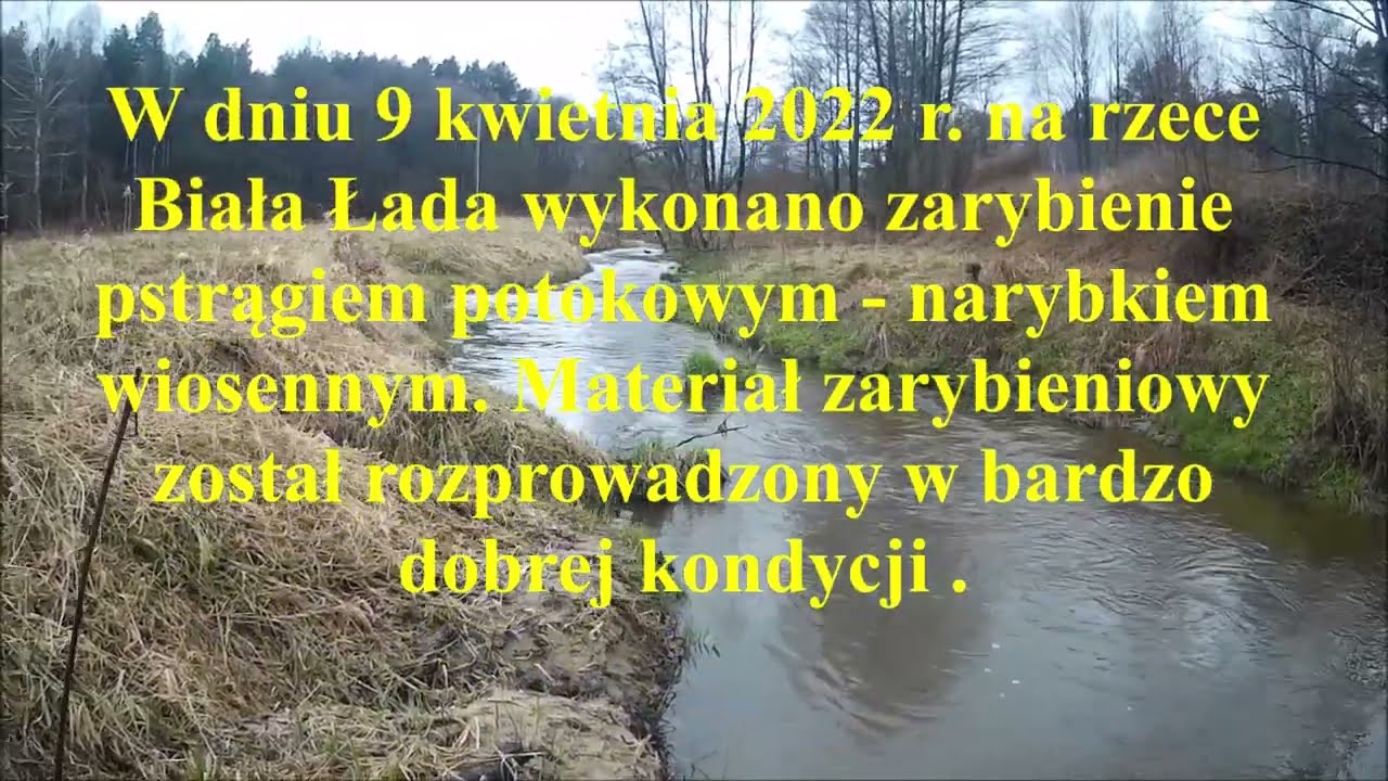Biała Łada FILM