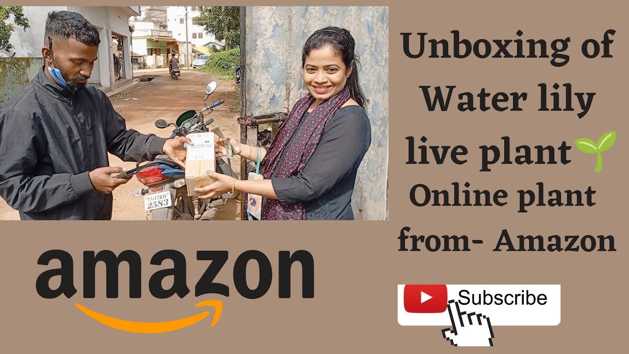 Online AMAZON plant unboxing review / Online plant Shopping/Water lily live plant☘️🌷 from Amazon.