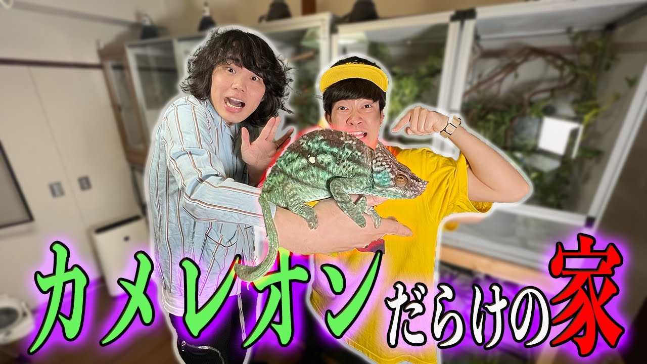 カメレオンを極めたYouTuberの家に突撃したらとんでもない生き物を発見！！！！！！！！！！
