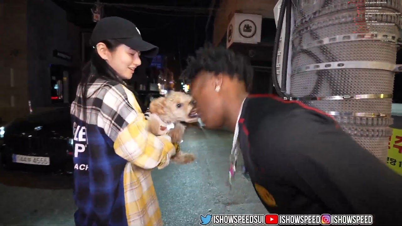 iShowSpeed Gets Bit In The Face During IRL Stream 💀