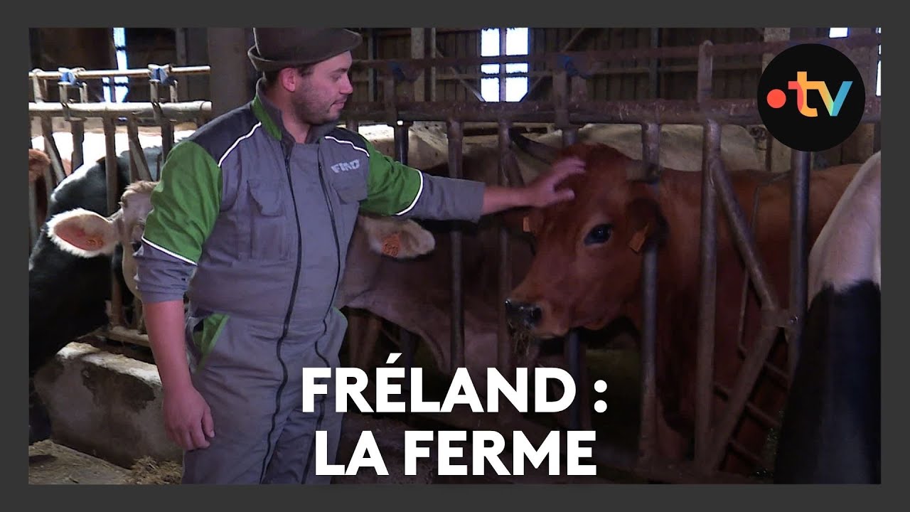 Un lieu, des histoires à Fréland : la ferme - Episode 4/4