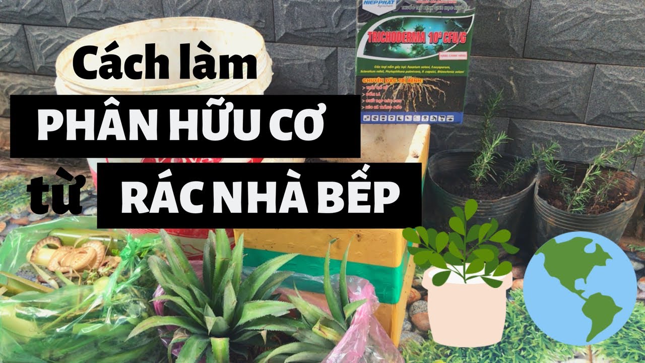 Bí quyết Ủ Phân Xanh từ Rác Nhà Bếp KHÔNG BỊ HÔI