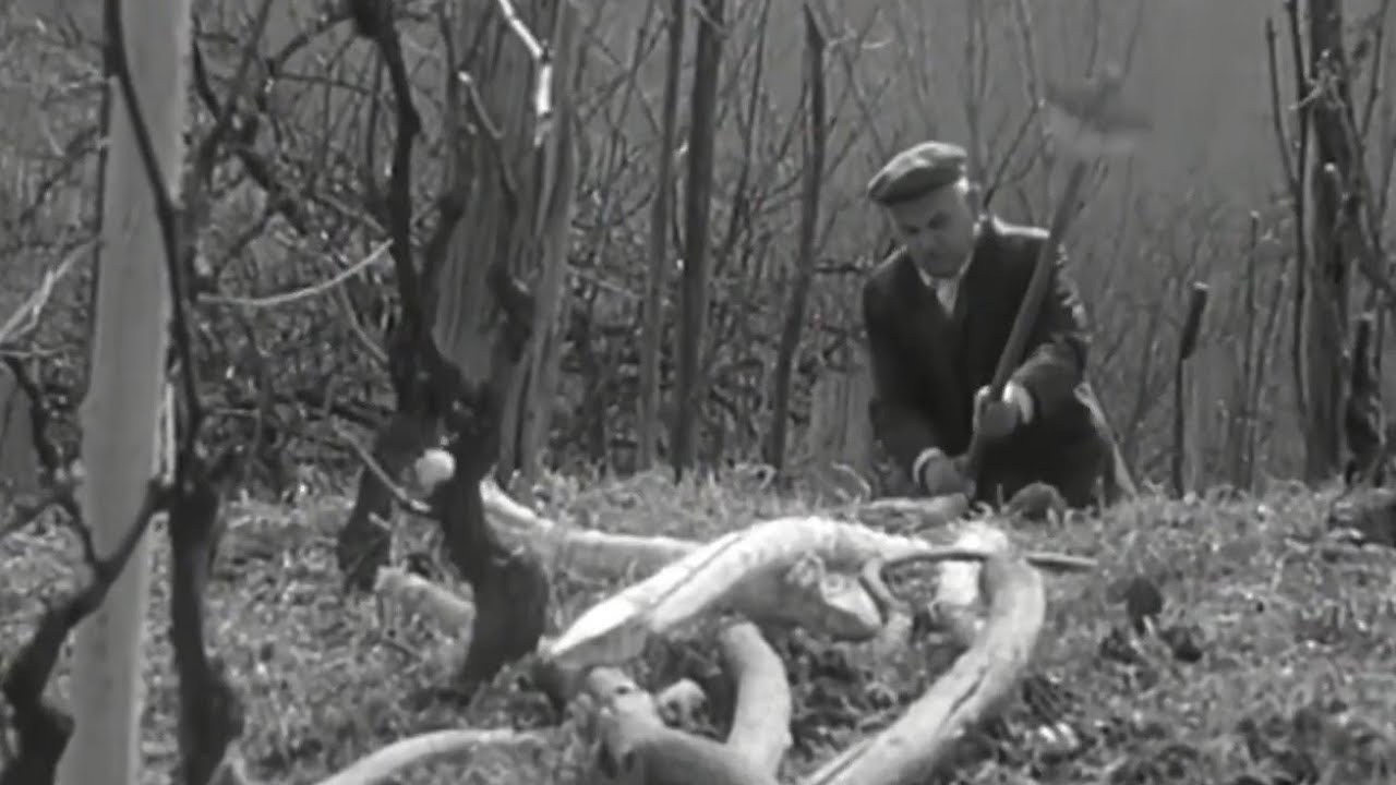 Ni zagorje nije ono &scaron;to je nekada bilo 1974.