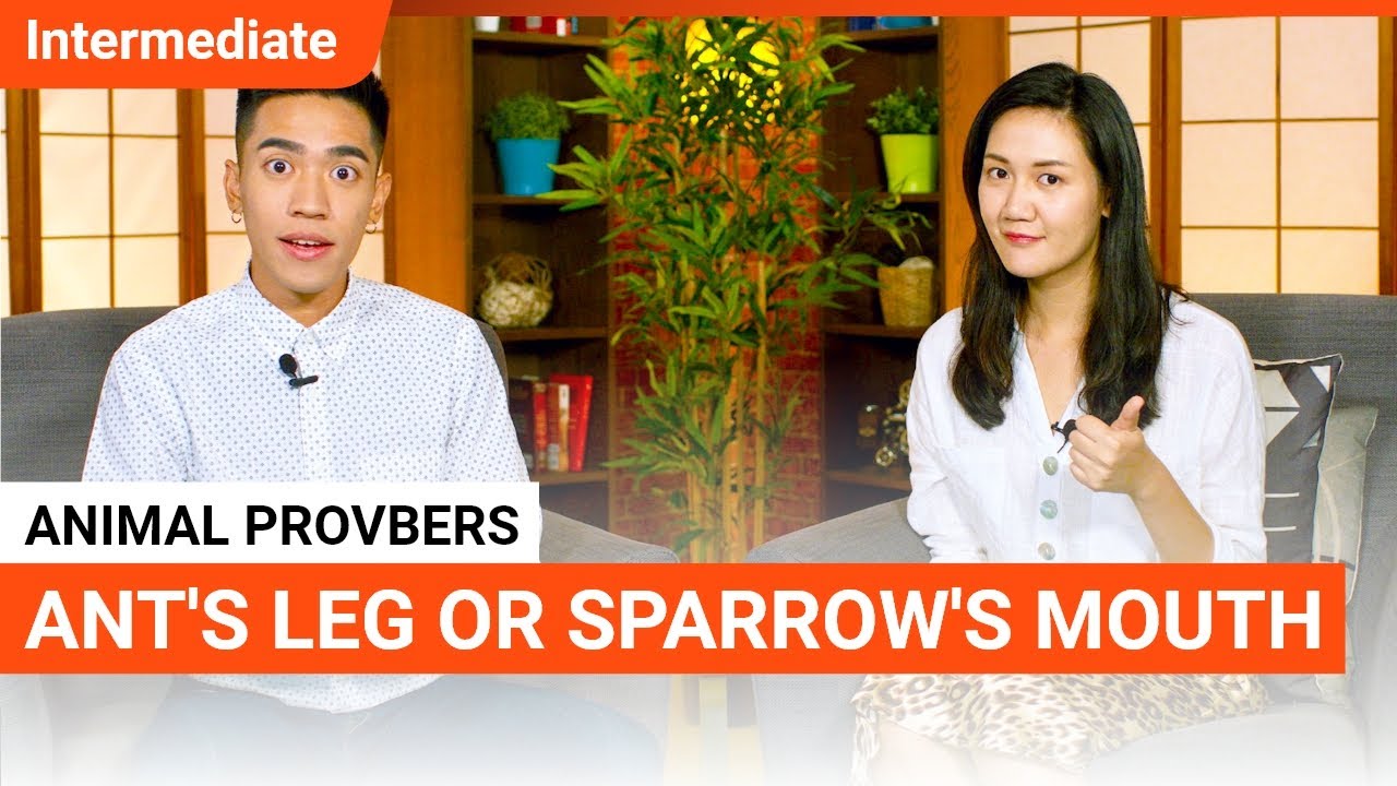 Animal Proverbs: Ant's Leg or Sparrow's Mouth? | Intermediate Lesson (v) | ChinesePod