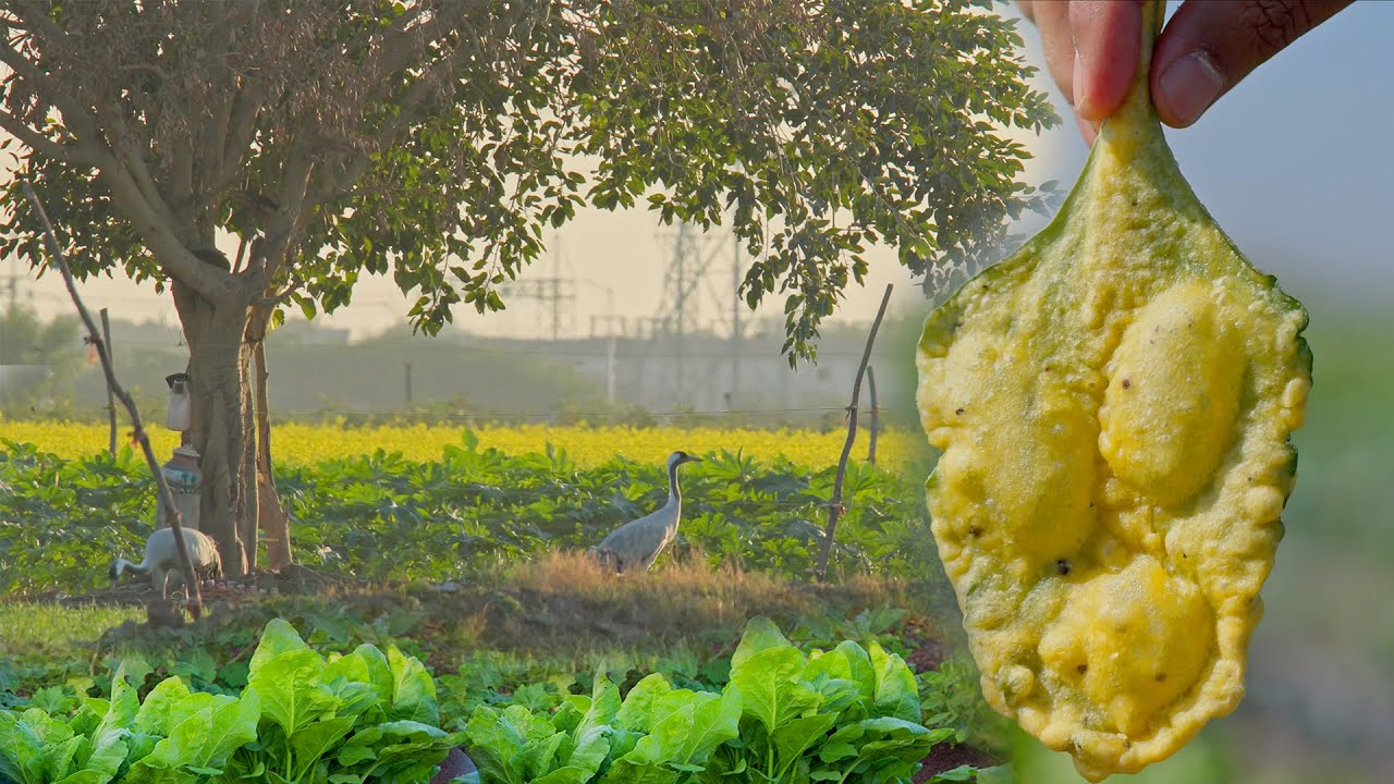 The Life of Spinach, Fried, Boiled or Curried, It always Taste Batter