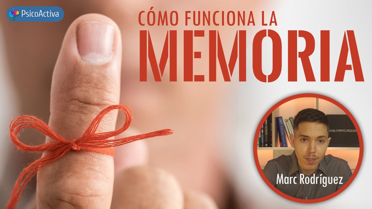 Cómo funciona la memoria, los procesos de almacenamiento y recuperación de información en el cerebro
