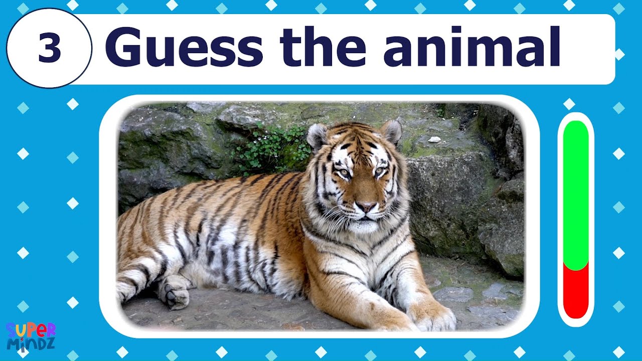 GUESS THE ANIMAL | Name the animal | Guess games for kids | SuperMindz