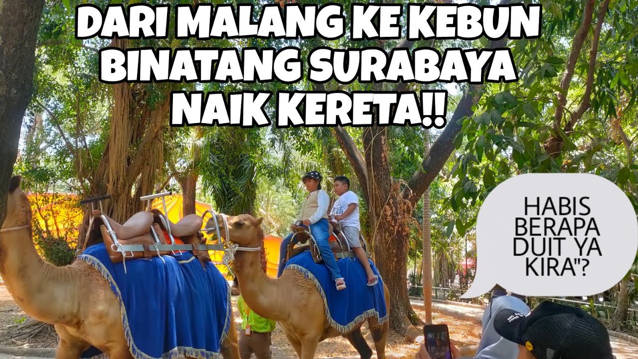 NAIK KERETA MENUJU KEBUN BINATANG SURABAYA❗ LIBURAN MURAH MERIAH KELUAR KOTA