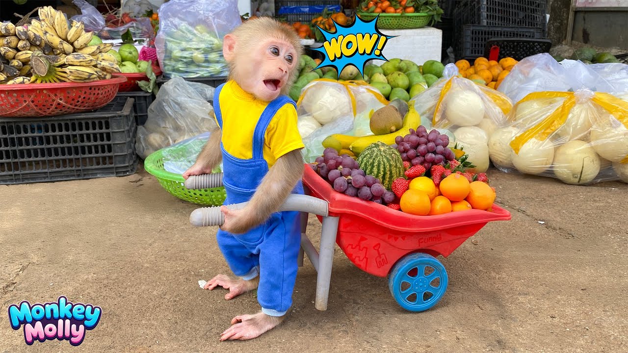 So sweet! Monkey Molly gets a special reward for helping Mom at the food stall